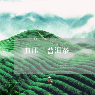 血压 普洱茶/2023042887742